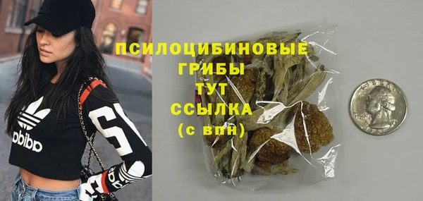 таблы Козловка