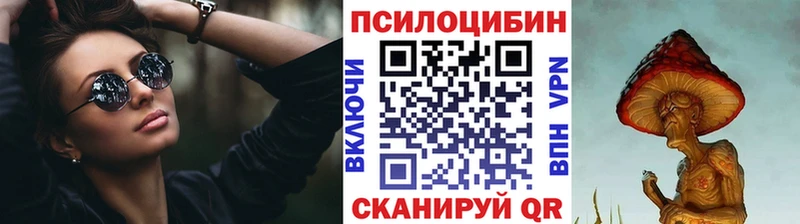 Псилоцибиновые грибы Psilocybine cubensis  как найти закладки  Новый Уренгой 