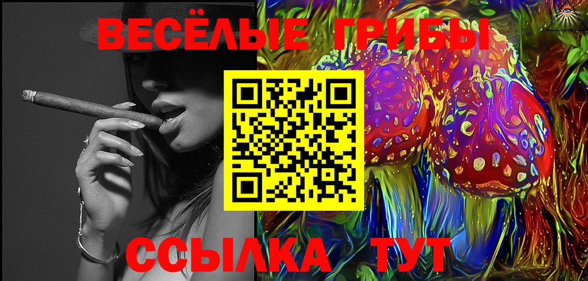 дарнет шоп  Псилоцибиновые грибы Cubensis  Вход с VPN  Новый Уренгой  Галлюциногенные грибы Psilocybe 
